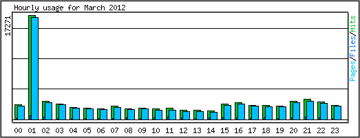 Hourly usage