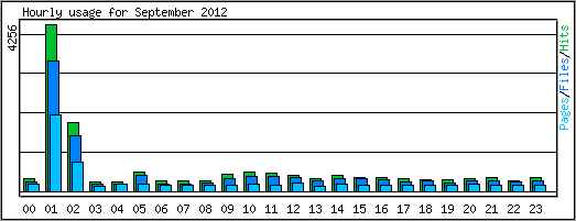 Hourly usage