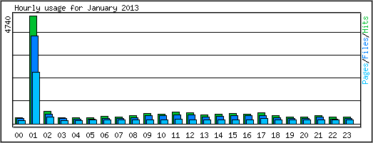 Hourly usage
