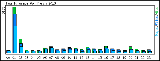 Hourly usage