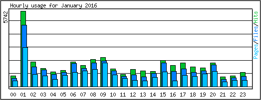 Hourly usage