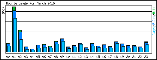 Hourly usage