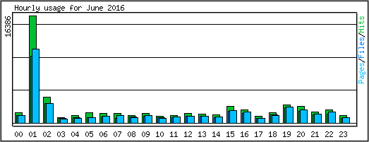 Hourly usage