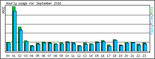 Hourly usage
