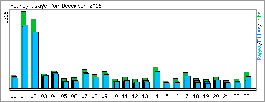 Hourly usage
