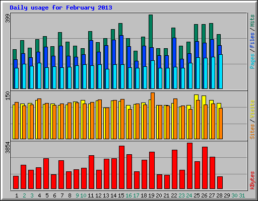 Daily usage for February 2013