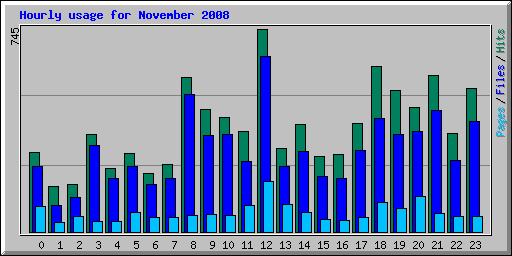 Hourly usage for November 2008