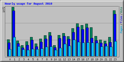 Hourly usage for August 2010