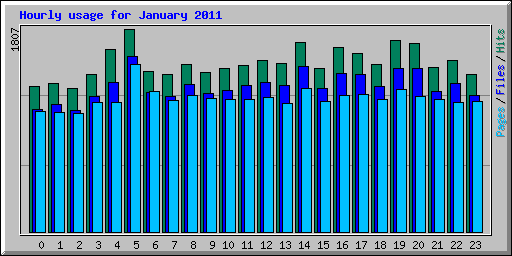 Hourly usage for January 2011