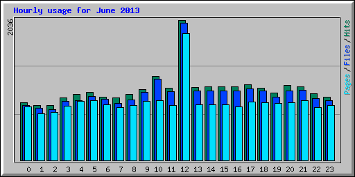 Hourly usage for June 2013