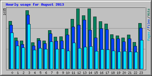 Hourly usage for August 2013