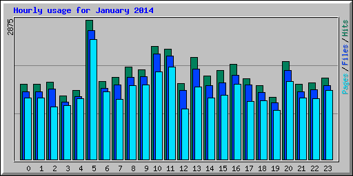 Hourly usage for January 2014
