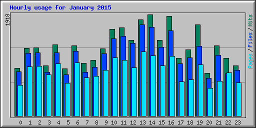 Hourly usage for January 2015