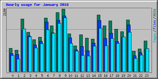 Hourly usage for January 2016