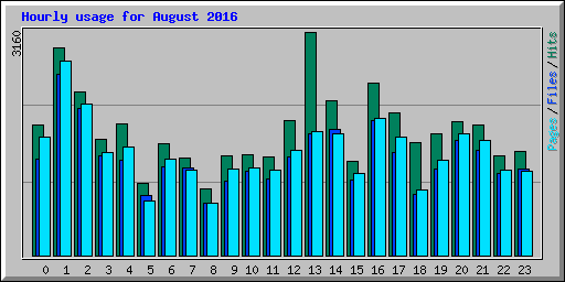 Hourly usage for August 2016