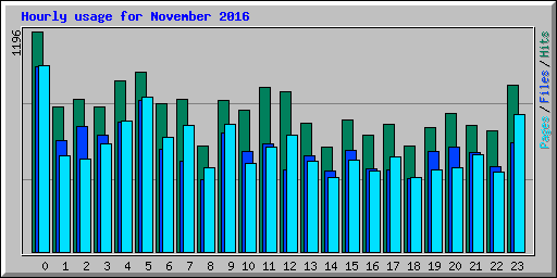 Hourly usage for November 2016